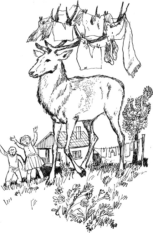 detsa_gonjat_elen.png detsa_gonjat_elen.png