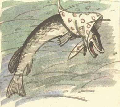 stuka_sus_zabradka.jpg stuka_sus_zabradka.jpg