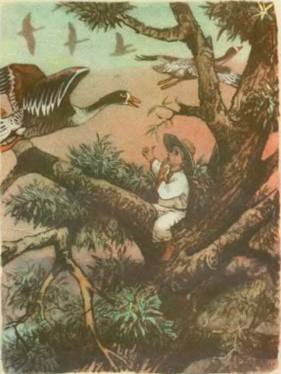 telesichko_3.jpg telesichko_3.jpg