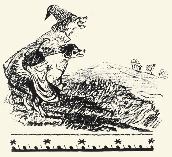 vylk_kuche_i_kotarak_1.jpg vylk_kuche_i_kotarak_1.jpg