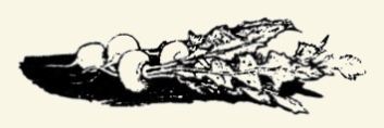 seljaninyt_i_mechkata_3.jpg seljaninyt_i_mechkata_3.jpg