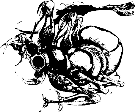 taynata_na_sveteshtia_mah_5.png taynata_na_sveteshtia_mah_5.png