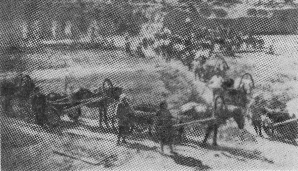 Женска ударна бригада (фот. 33) gulag_photo-33.jpg
