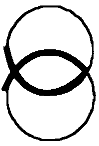 fish-circles.png fish-circles.png