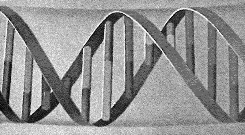 Фигура 1. Част от нишките на ДНК decata-figura_1_chast_ot_nishkite.png