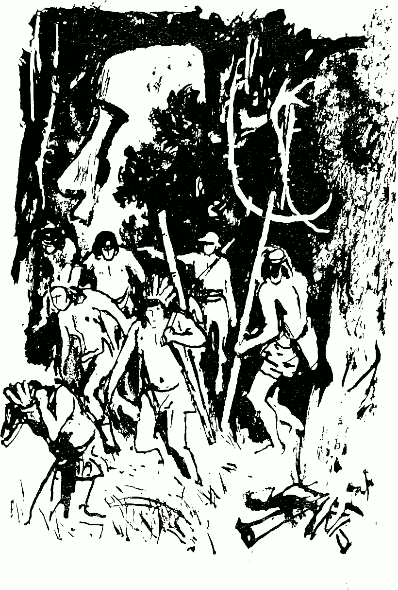 zhricata-steni.png zhricata-steni.png