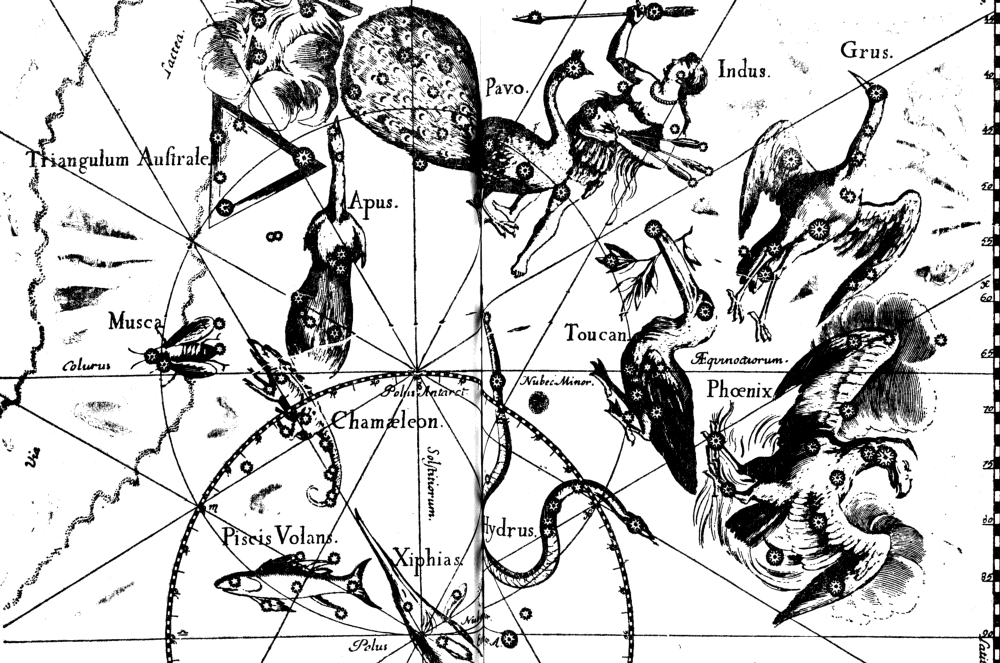 Образ на Хвърчаща риба (Volans), Южна хидра (Hydrus), Хамелеон (Chamaeleon), Райска птица (Apus), Южен триъгълник (Triangulum Australe), Златна рибка (Dorado) и Тукан (Tucana) Образ на Хвърчаща риба (Volans), Южна хидра (Hydrus), Хамелеон (Chamaeleon), Райска птица (Apus), Южен триъгълник (Triangulum Australe), Златна рибка (Dorado) и Тукан (Tucana)