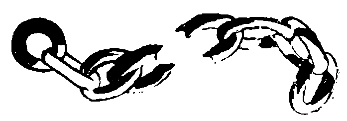 trimata_shishkovci_40.png trimata_shishkovci_40.png