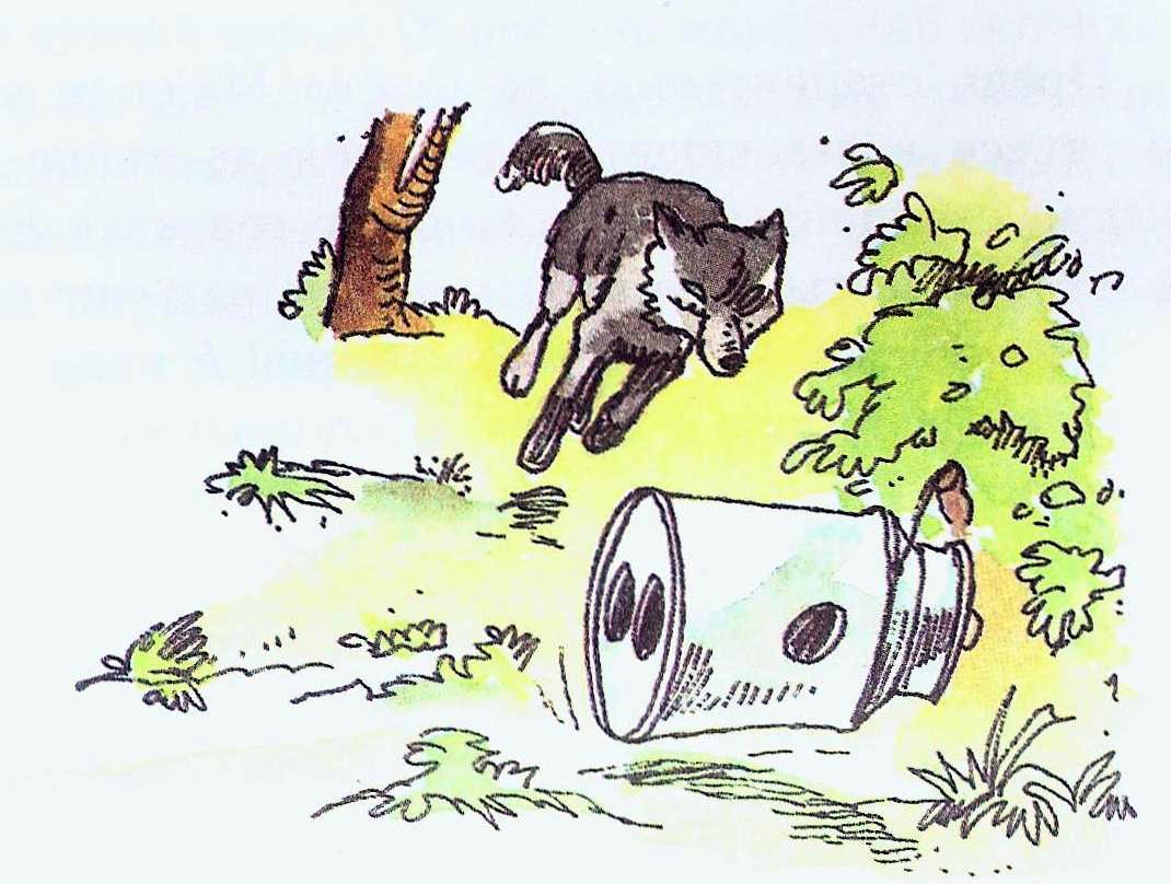 valkat_tarkalq_bidona.jpg valkat_tarkalq_bidona.jpg