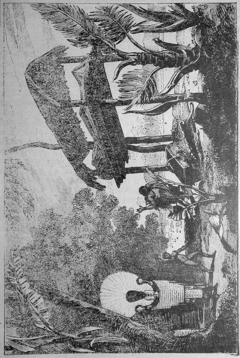 Таитянска „Фиатука“ velikite_moreplavateli_fiatuka.jpg