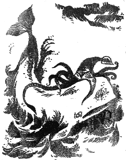 kalmar_se_bori_s_kashalot.png kalmar_se_bori_s_kashalot.png