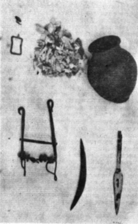 Фиг.4. Тракийско погребение — новожелязна епоха altimir_trakiisko_pogrebenie.jpg