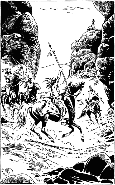 nomerat_na_hyu_15.png nomerat_na_hyu_15.png