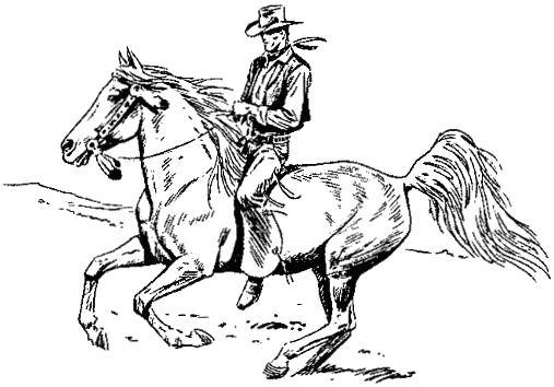 nomerat_na_hyu_21.png nomerat_na_hyu_21.png