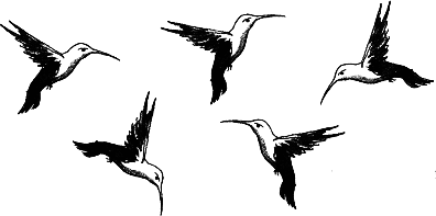 dvete_sestri_byrzokrilki.png dvete_sestri_byrzokrilki.png