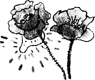 dvete_sestri_tsvetja.png dvete_sestri_tsvetja.png