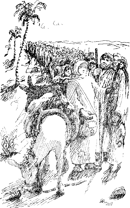 palkovodeca_11.png palkovodeca_11.png