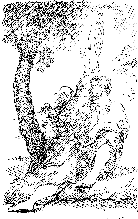 palkovodeca_5.png palkovodeca_5.png