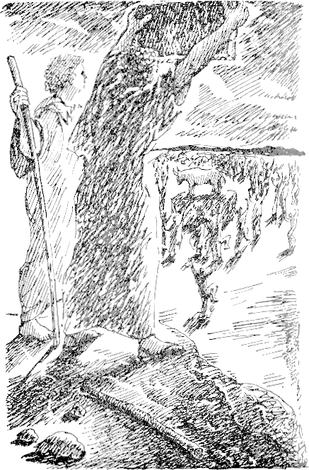 palkovodeca_7.png palkovodeca_7.png