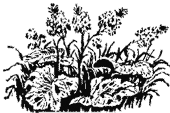 dersu_uzala_10_7glava.png dersu_uzala_10_7glava.png