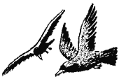 dersu_uzala_18_13glava.png dersu_uzala_18_13glava.png