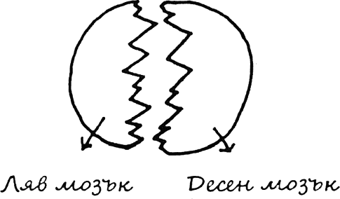 strana_na_chudesata_mozyk.png strana_na_chudesata_mozyk.png