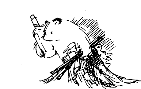mecheto_padingtyn_shishe_i_chetki.png mecheto_padingtyn_shishe_i_chetki.png