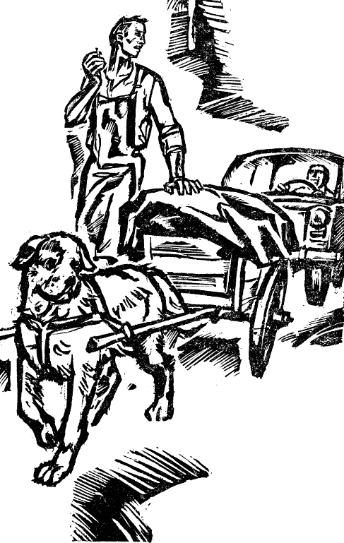 dog.png dog.png