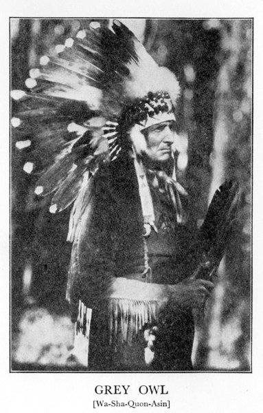 Сивата Сова greyowl.jpg