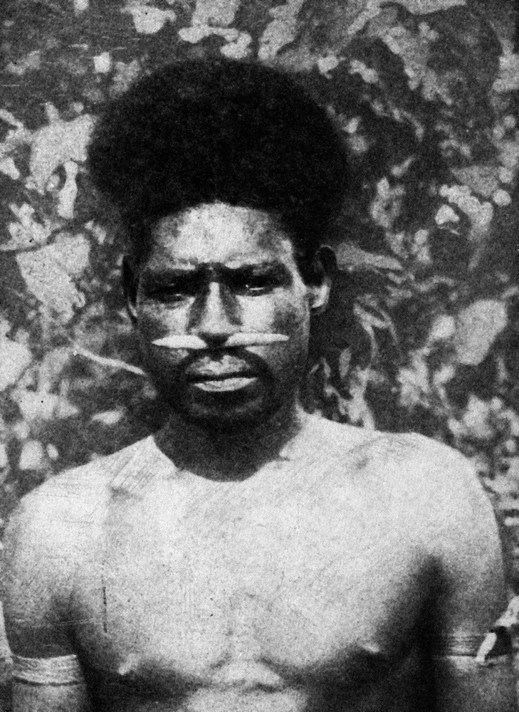 Туземец с клечка през носа 0647_tuzemec.png