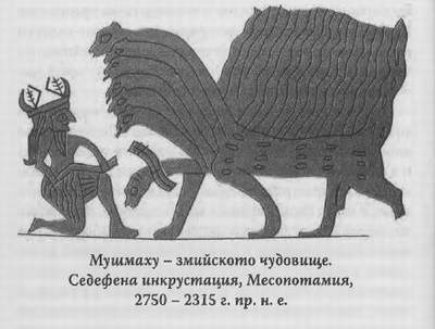 mushmahu.jpg mushmahu.jpg