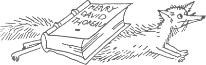 toro.png toro.png