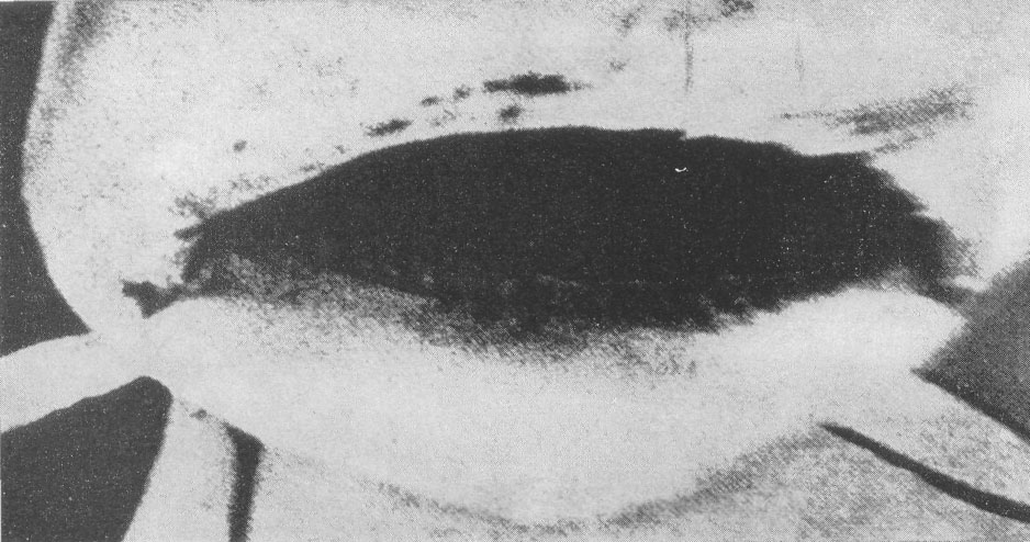 fake_akuli2.jpg fake_akuli2.jpg