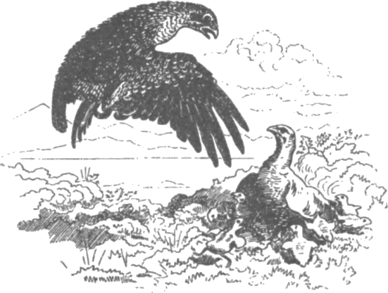 tetrev.png tetrev.png