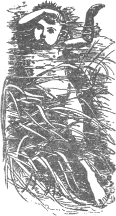 vodnodete.png vodnodete.png