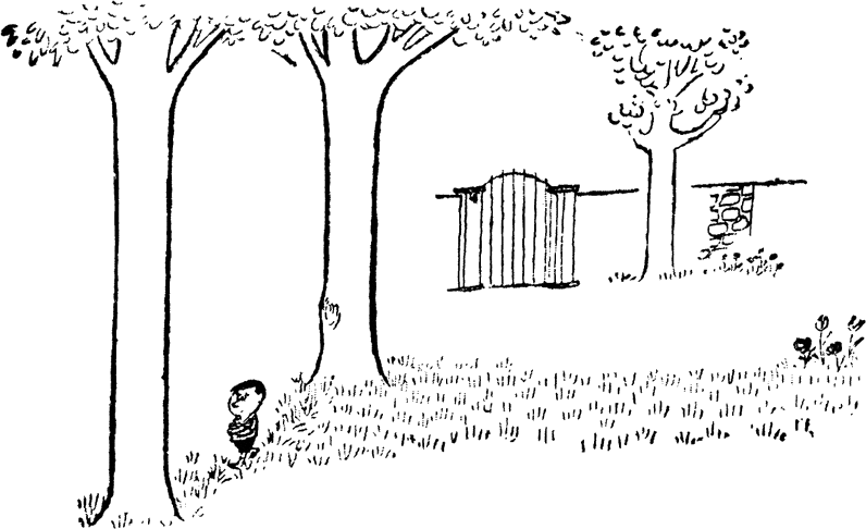 sam_na_dvora.png sam_na_dvora.png