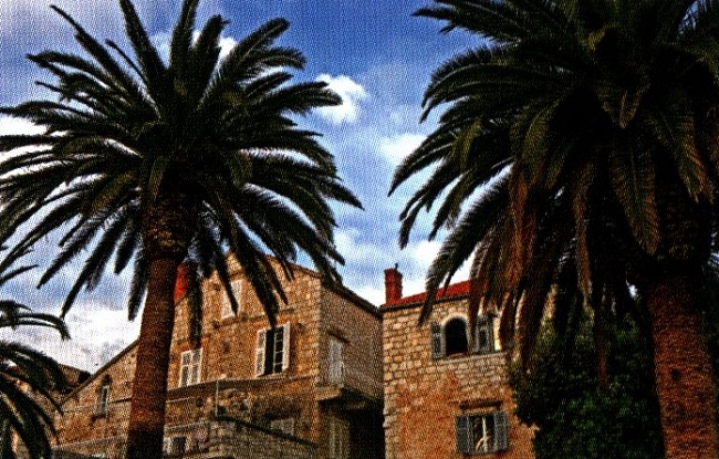 Палмите на остров Хвар (3) са свидетелство за мекия климат в Адриатическо море. 170_palmi.jpg