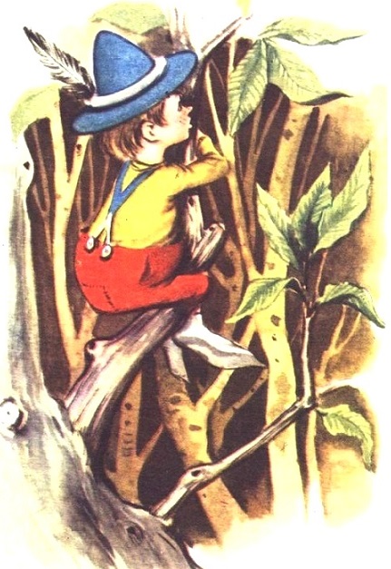 8_durvo.jpg 8_durvo.jpg