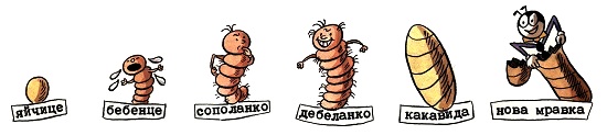 148_bebeta.jpg 148_bebeta.jpg