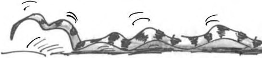 opashka.jpg opashka.jpg