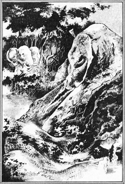 kambo_10.jpg kambo_10.jpg