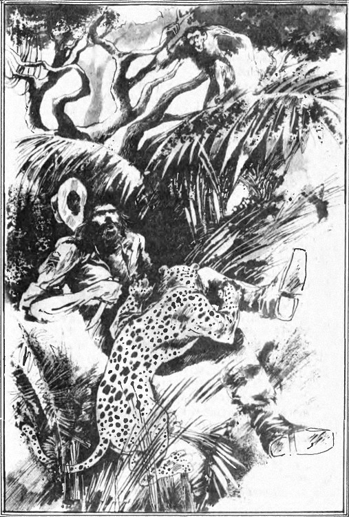 kambo_8.jpg kambo_8.jpg