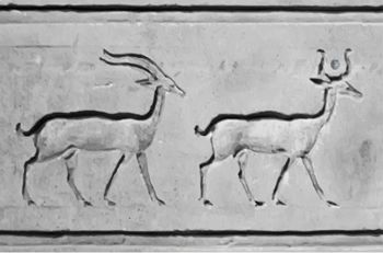 antilopi.jpg antilopi.jpg