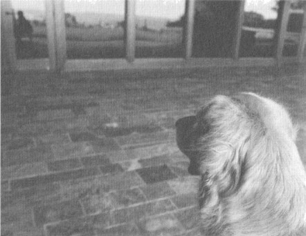 dvanadeset.jpg dvanadeset.jpg